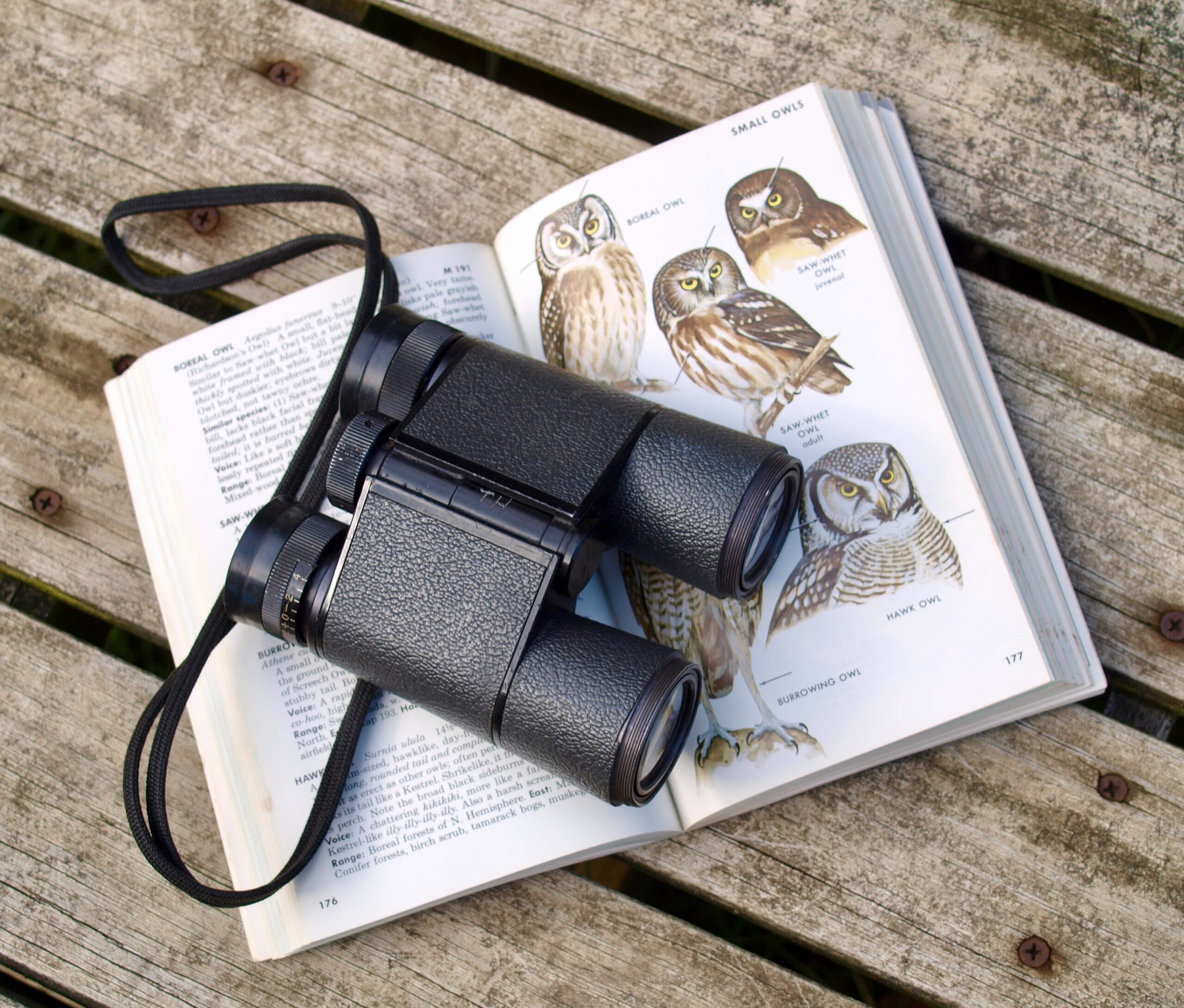 binoculars on top of open bird field guide on owl page